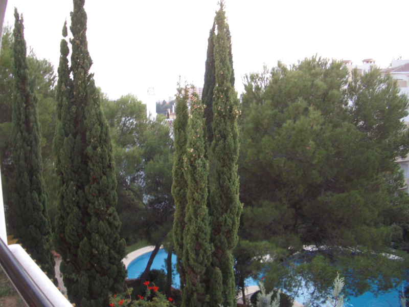 view of gardens, pool and the sea